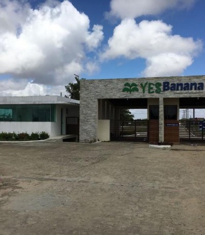 CONDOMÍNIO YES BANANA